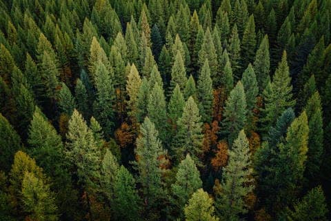 AdobeStock_1174028708