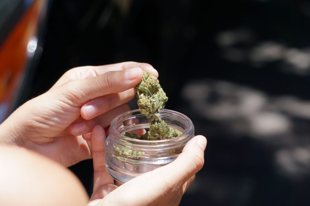 pexels-photo-5021597-5021597 Close-up of hands holding cannabis buds in a glass jar outside in daylight.